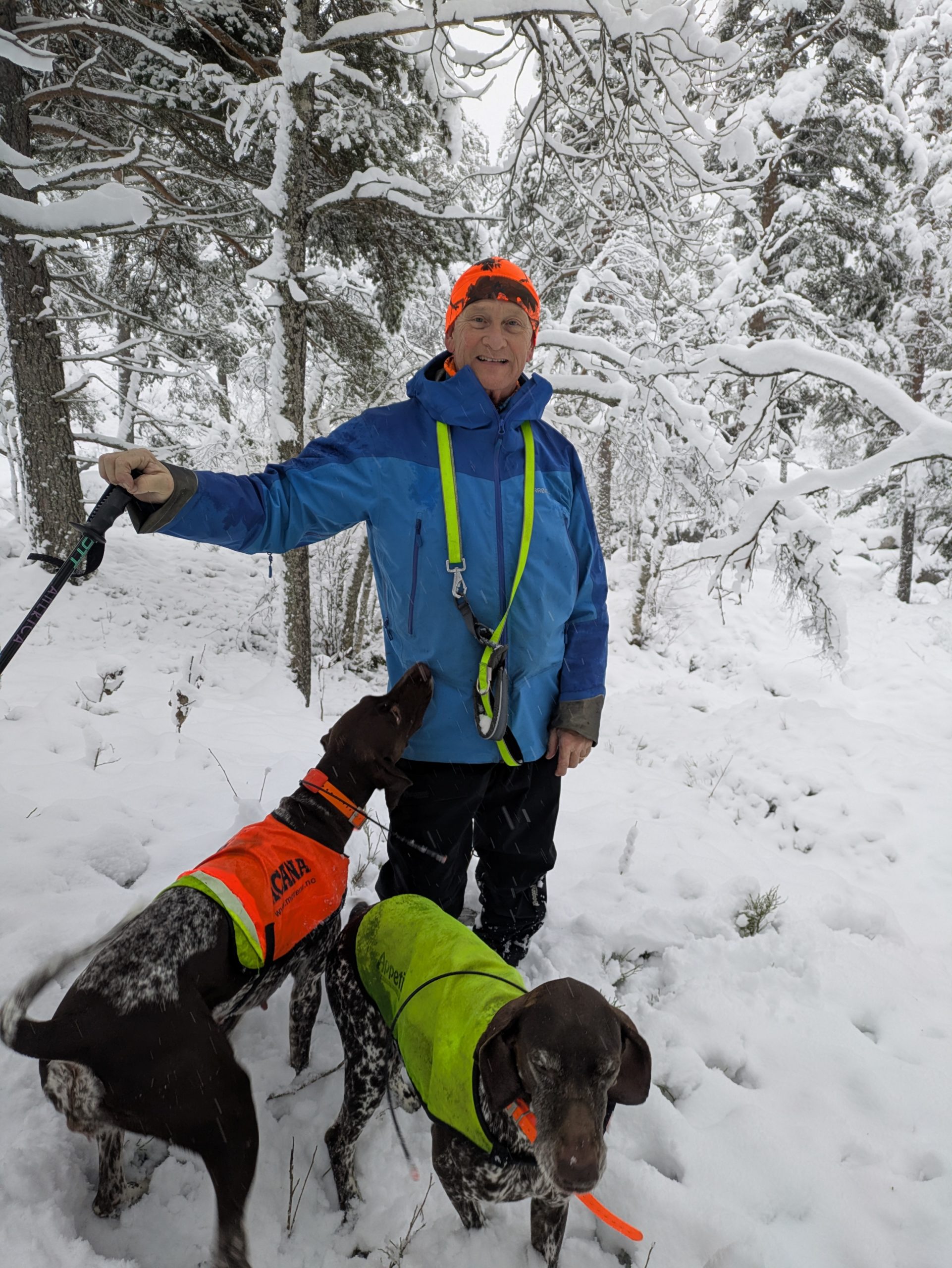 Norsk Vorstehhund klubb