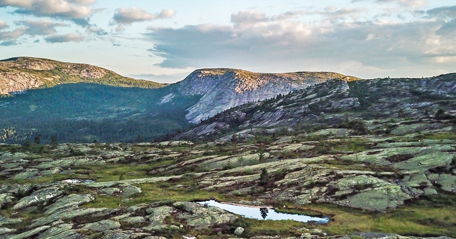 Finn ut om ting å gjøre i Vrådal, Kviteseid og Morgedal