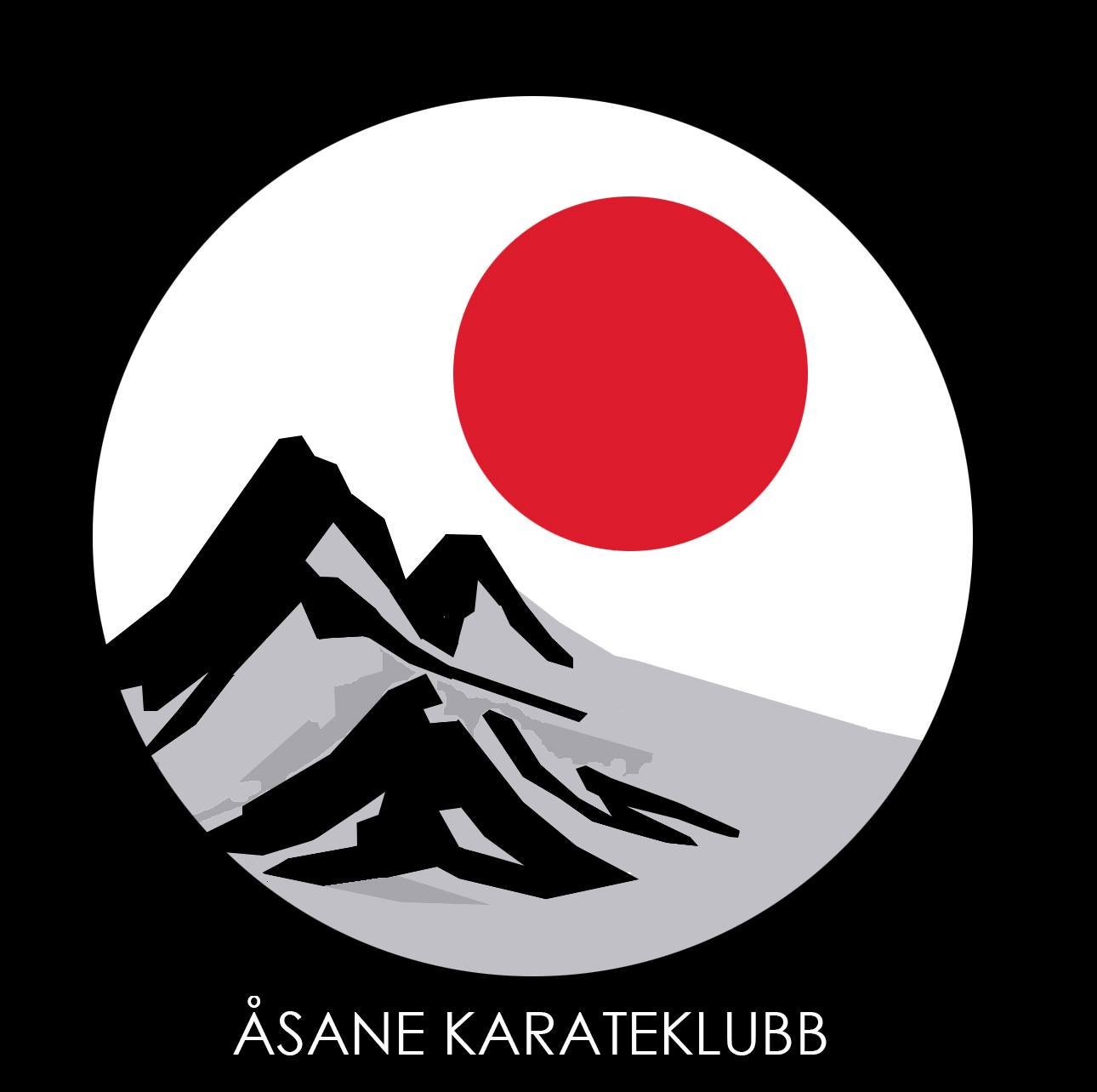 aasanekarateklubb.no