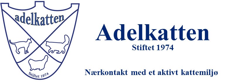 Adelkatten