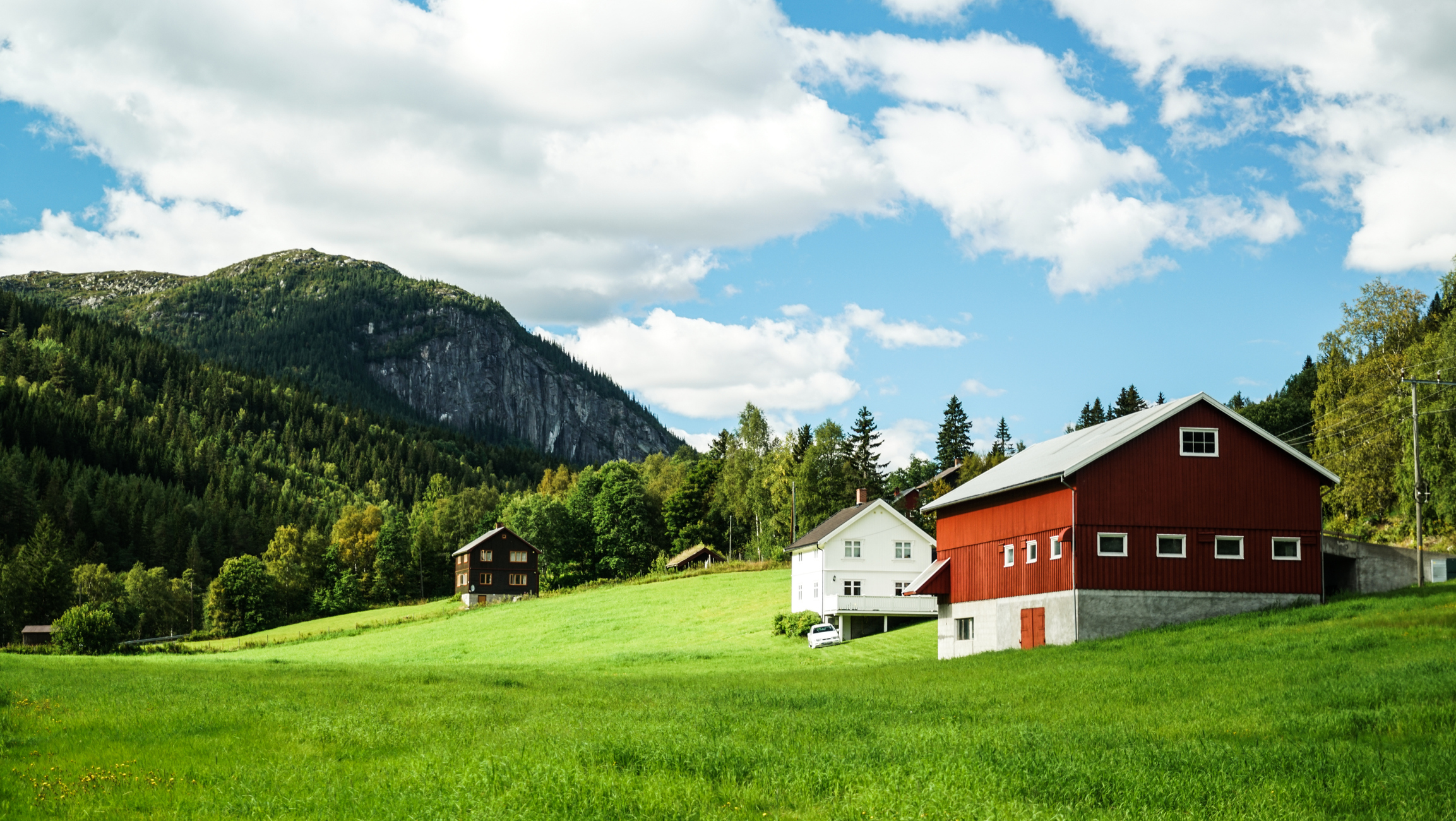 Agri- Service Landbrukstakst