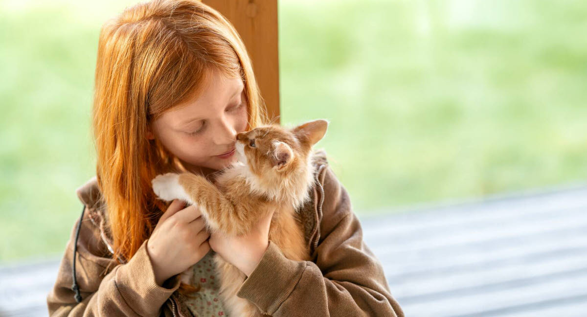 Agria Dyreforsikring - Agria Dyreforsikring