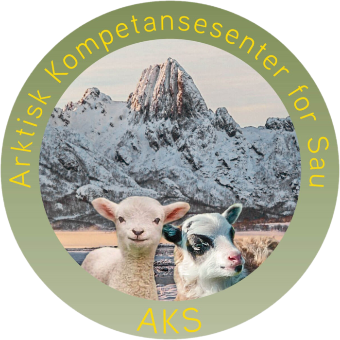 Arktisk-kompetansesenter-for-sau-sa