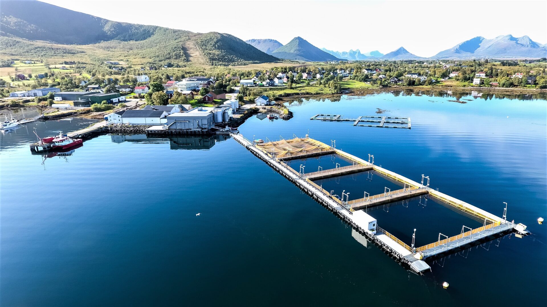 Laks i verdensklasse fra Nord-Norge - Alsvåg Lakseslakteri