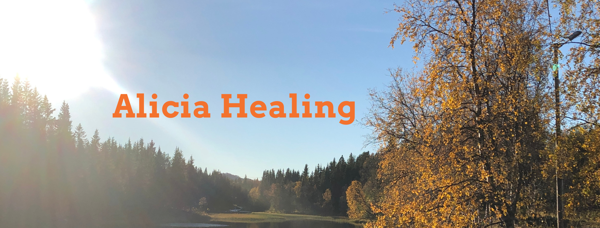 Hjem | Alicia Healing