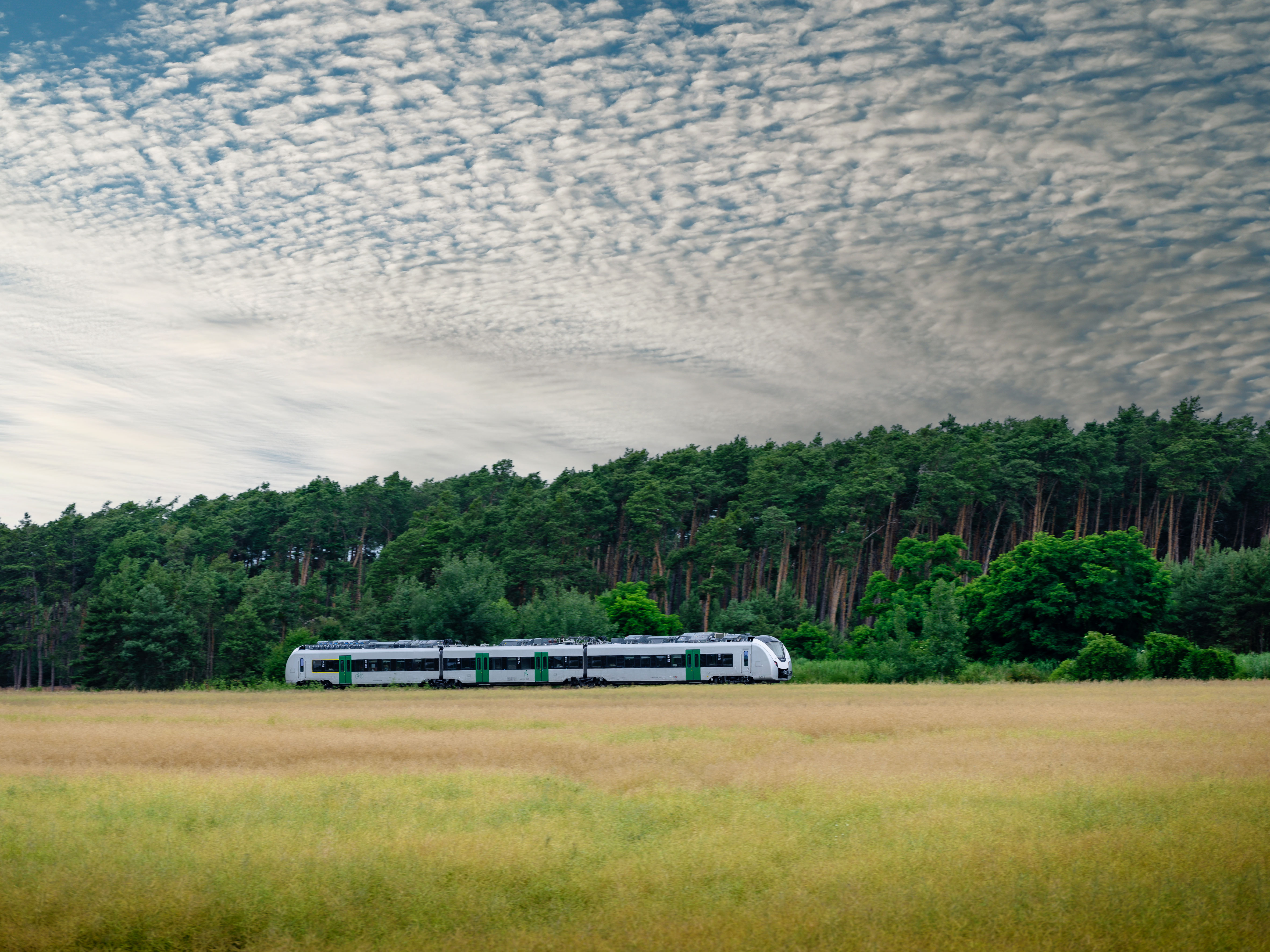 Alstom in Deutschland