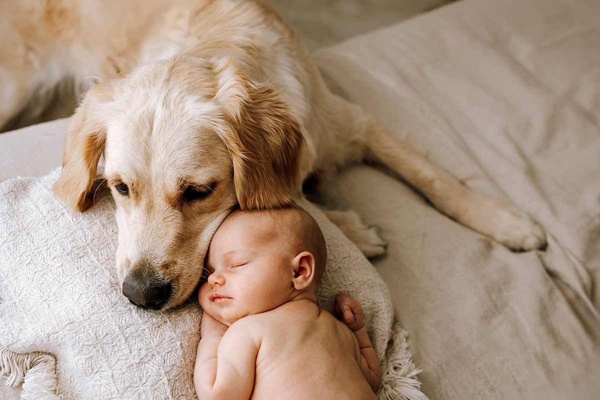 Anita K. Photo | Fotograf i Fredrikstad | Østfold