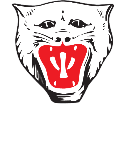 Vikersund IF