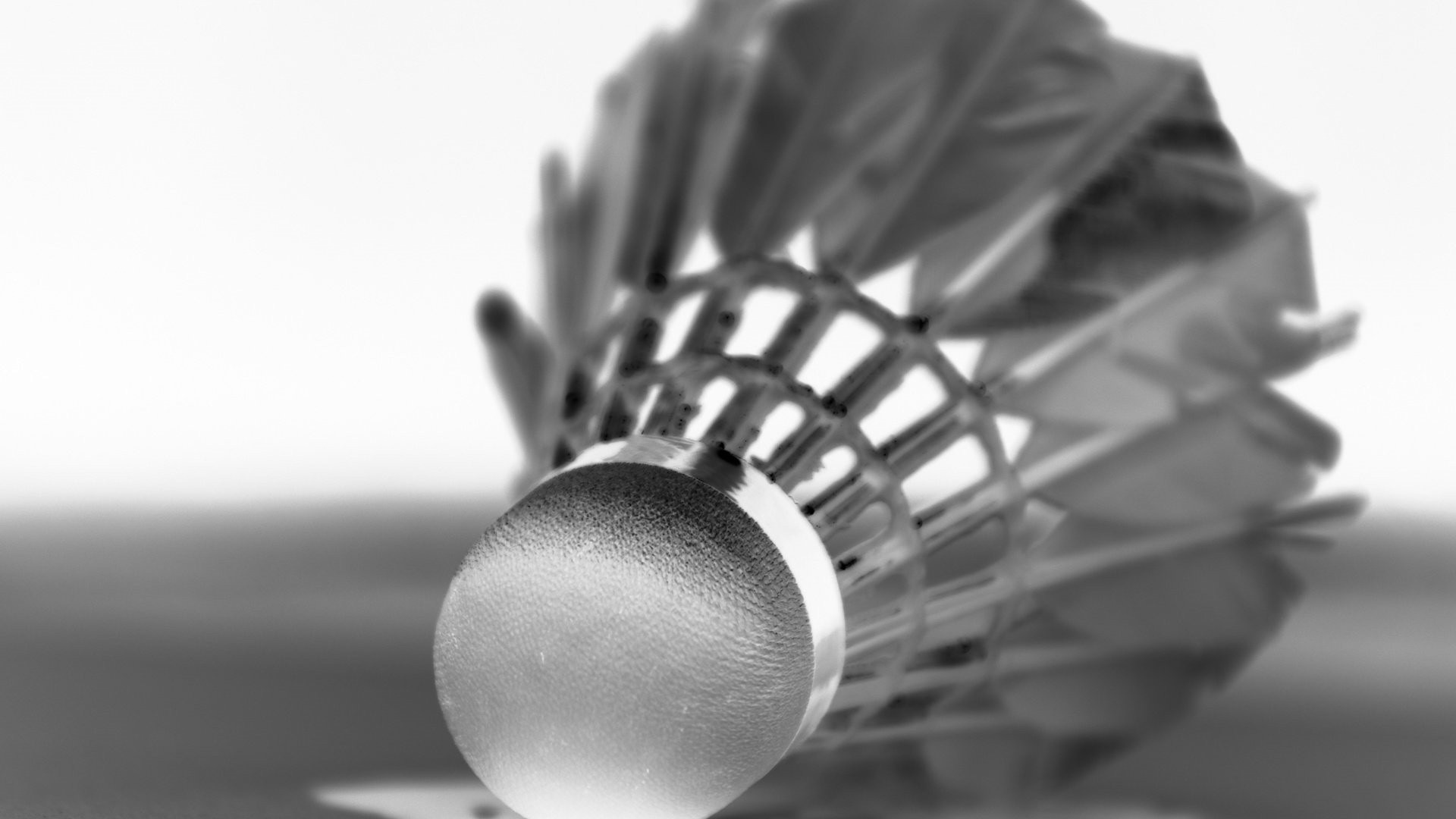 Norges Badmintonforbund