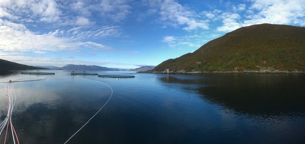 Fremtidens rørløsninger for næringer i vekst