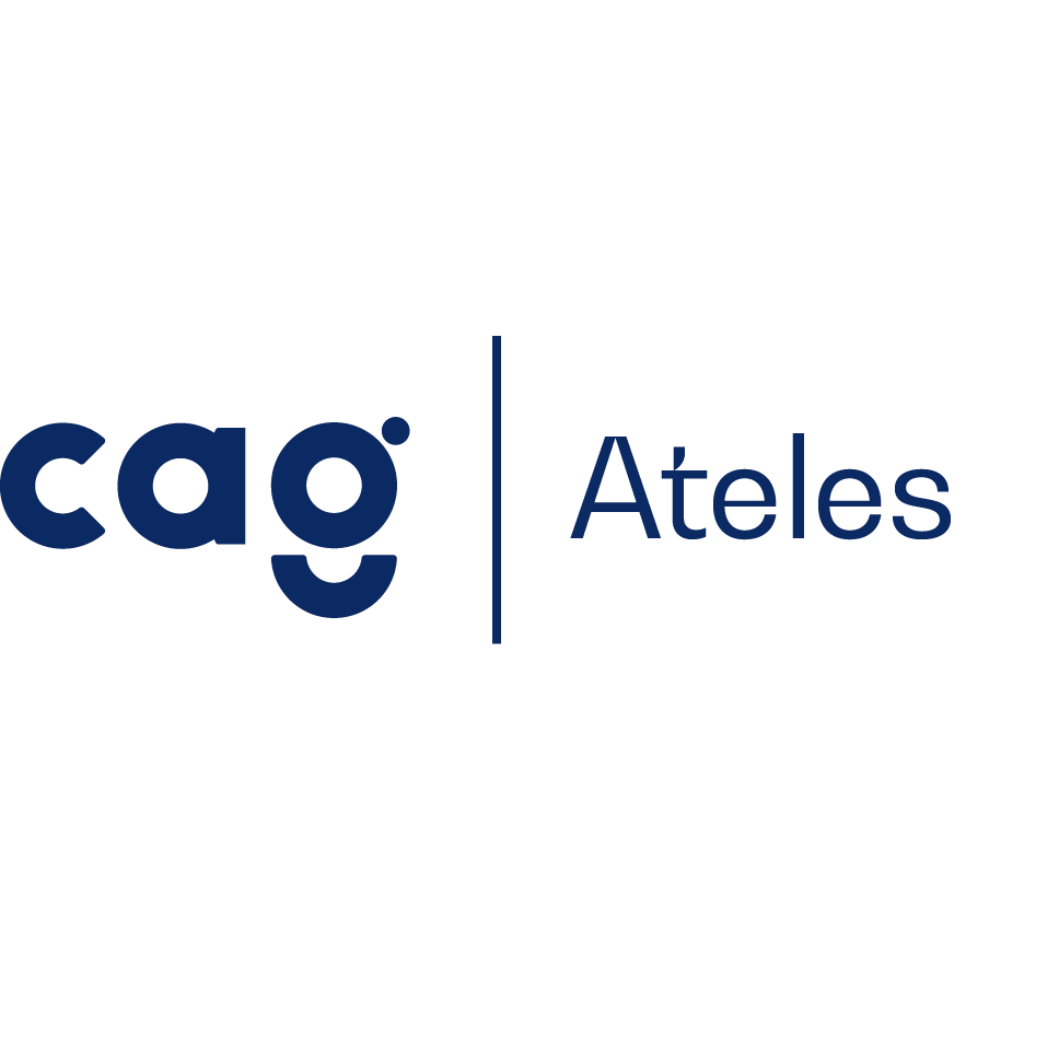 CAG Ateles - E-handel och digital transformation