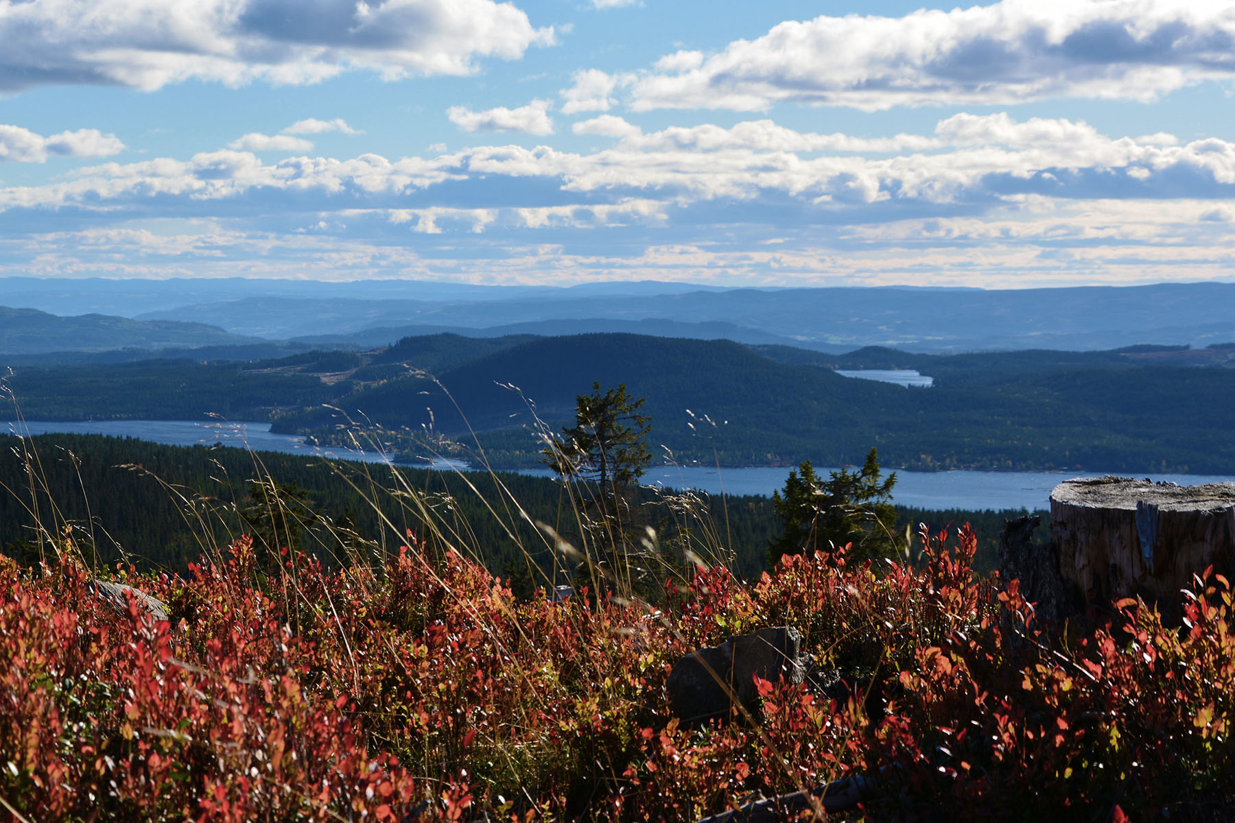 Brøttum Almenning - Brøttum Almenning