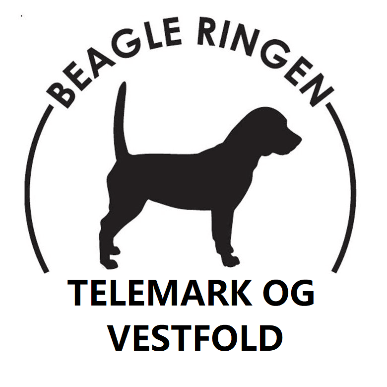 Beagle Ringen Telemark og Vestfold