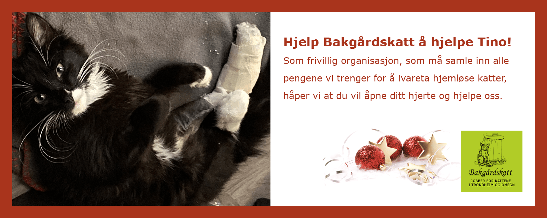 bakgardskatt.com