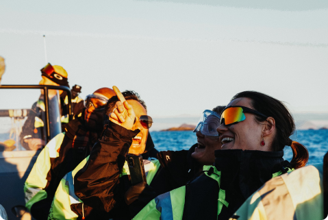 Bilberry Technologies