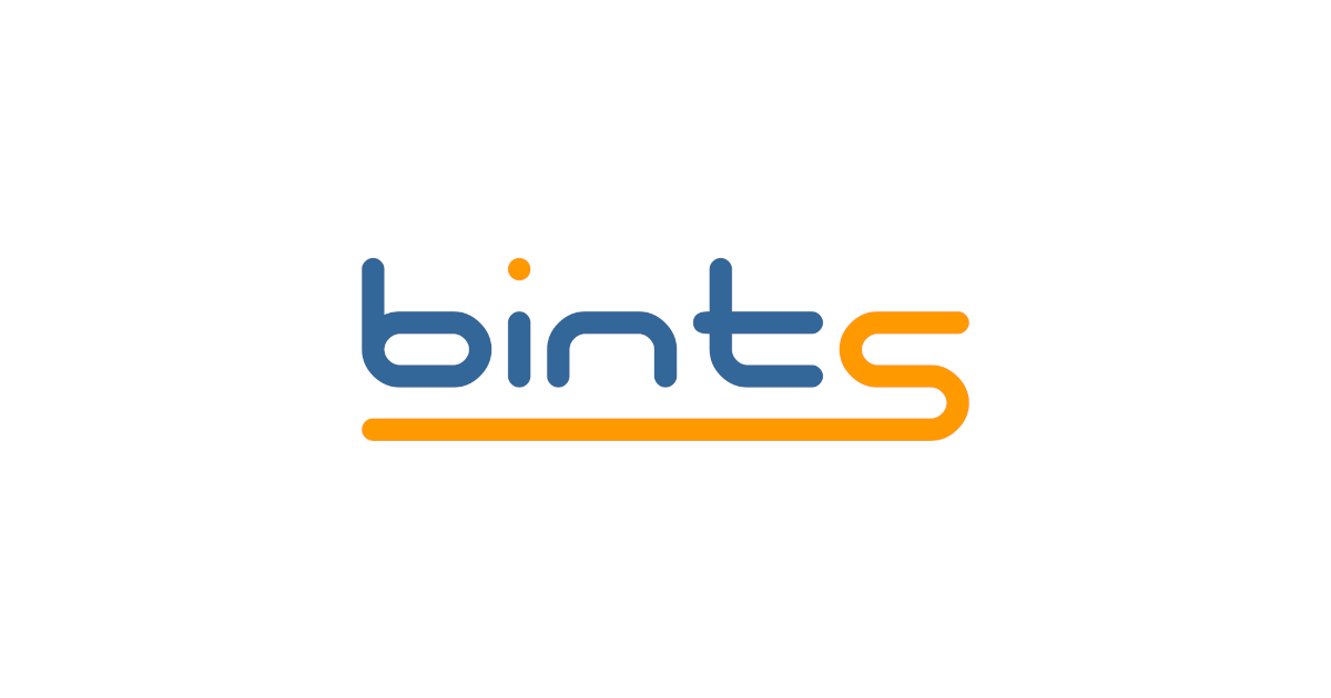 BINTS Holding AS - Investment Company | Digital SaaS & AI Solutions