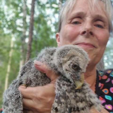 bedandbirds.no - Birding in Varanger