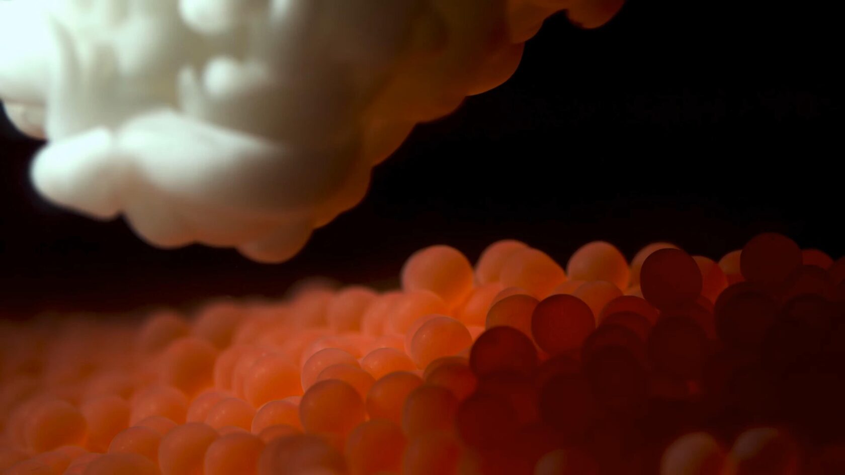 Benchmark Genetics - Driving sustainability in aquaculture