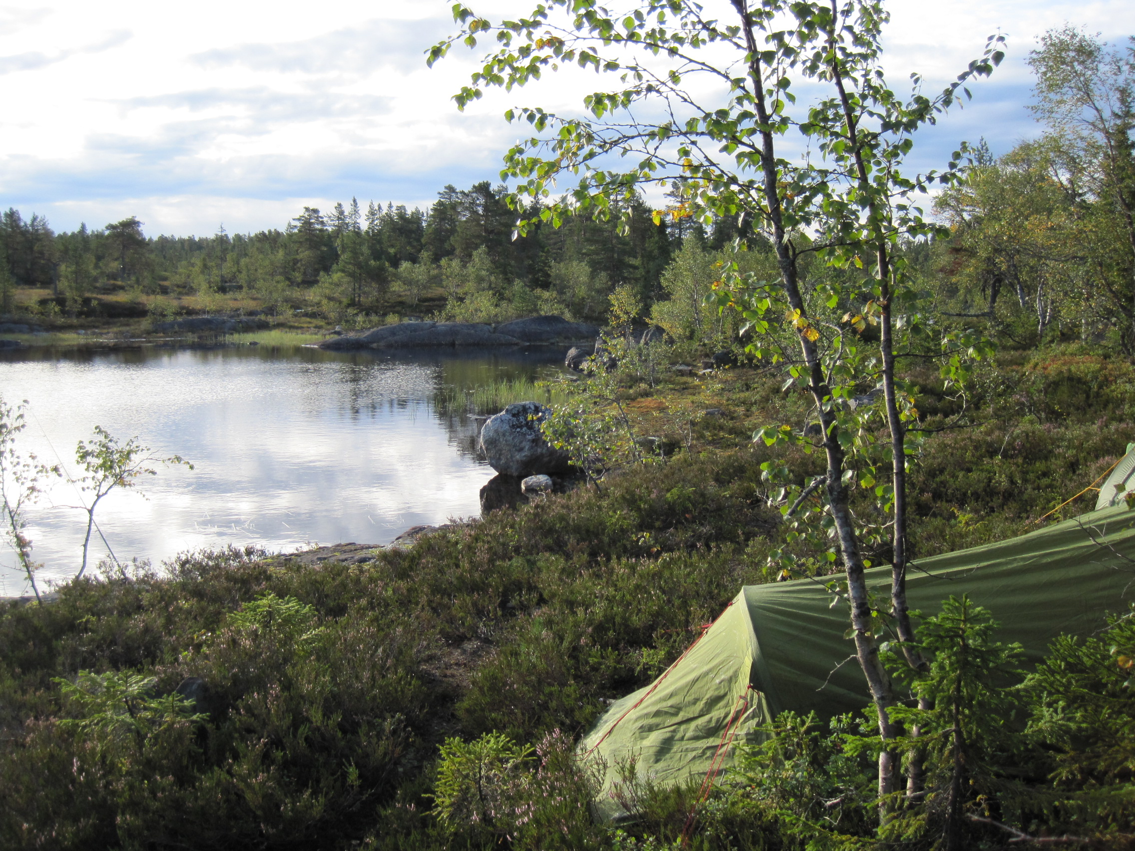 Bø Fiskelag - Bø Fiskelag