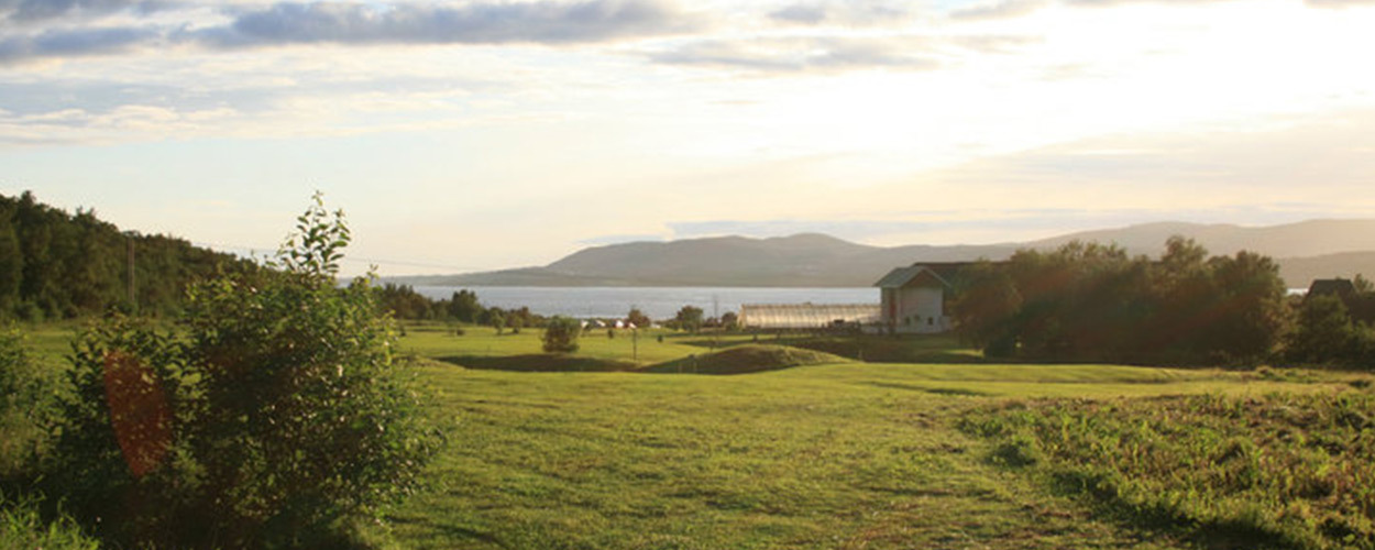 Hovedside | Bodø Golfklubb
