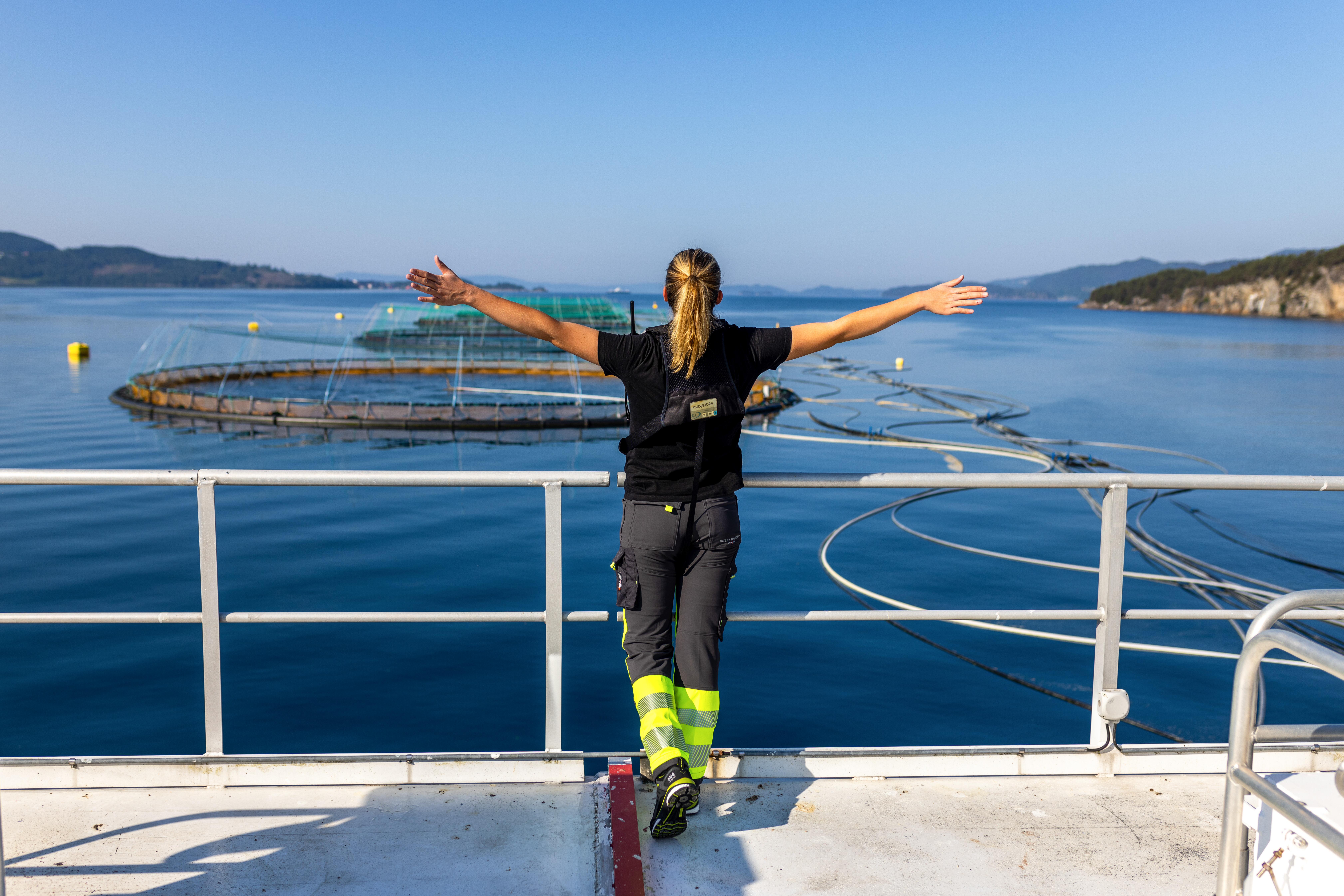 Bolaks – Kvalitet, kompetanse og erfaring gjennom generasjoner.