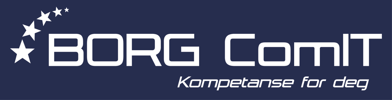 Borg ComIT AS