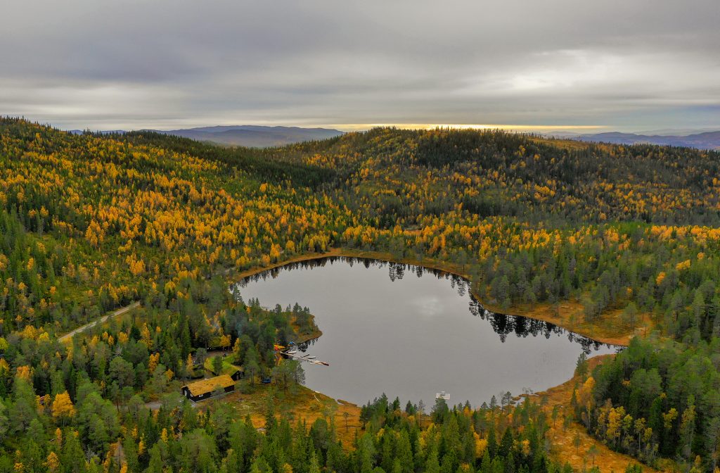 Forside - Brandheia Villmarkssenter