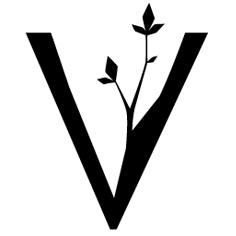 Brand Valley - Strategy through design