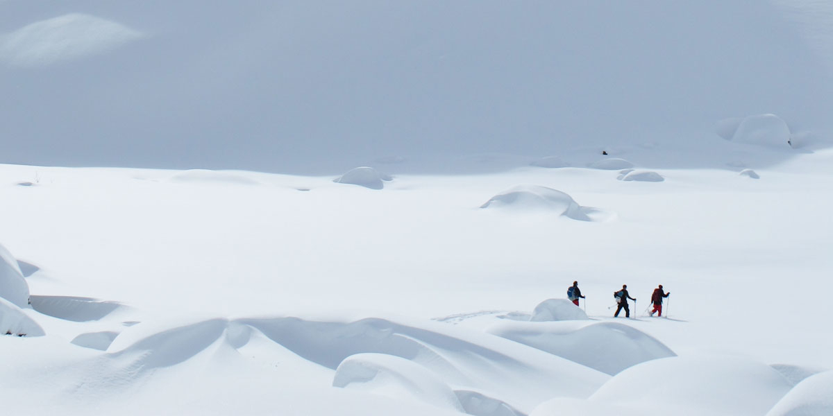 Spor Guiding - Guidede turer i Finnmarksalpene | Ski | Brevandring