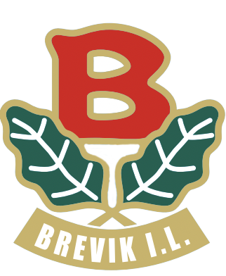 Brevik Idrettslag