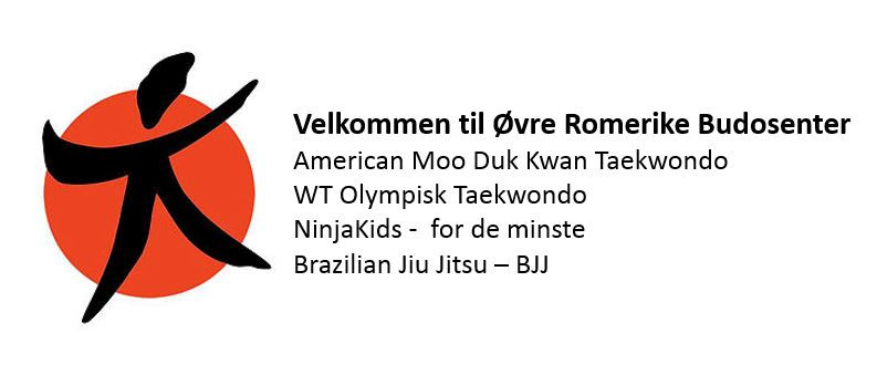 Taekwondo | Budosenteret | Dal