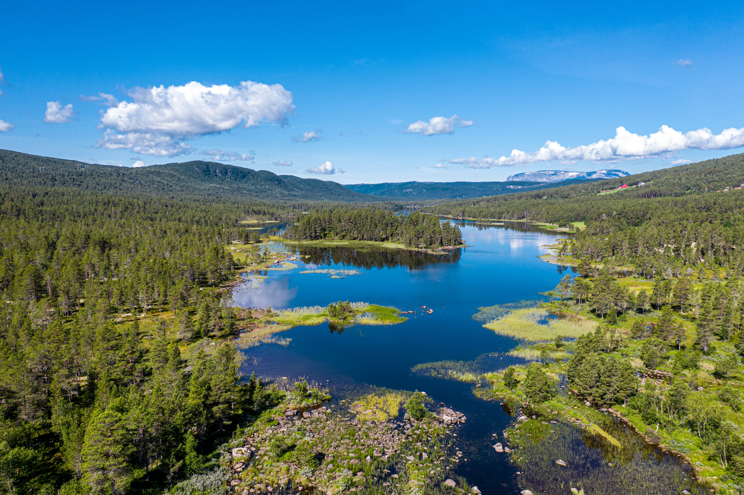 Tomtesalg og tilflyttingsprosjekt | Bu i Skurdalen | Norge