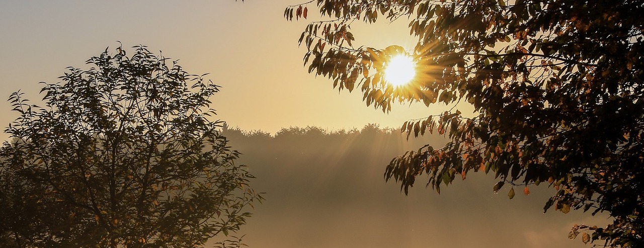 CatchSolar - Catch Solar