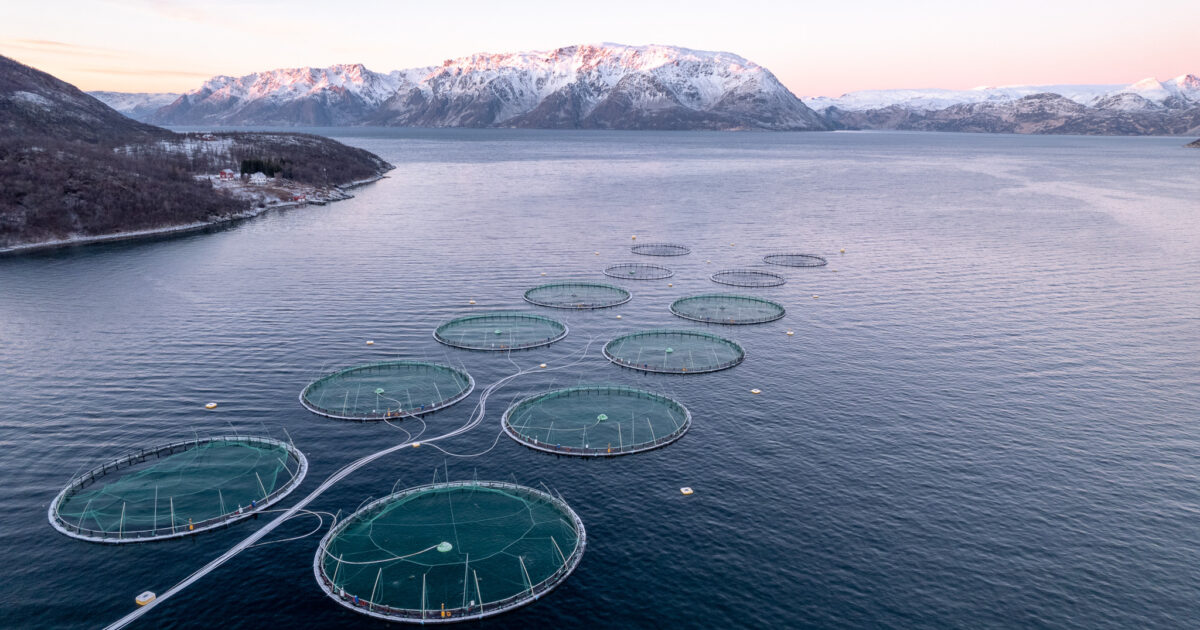 Home - Cermaq Norway