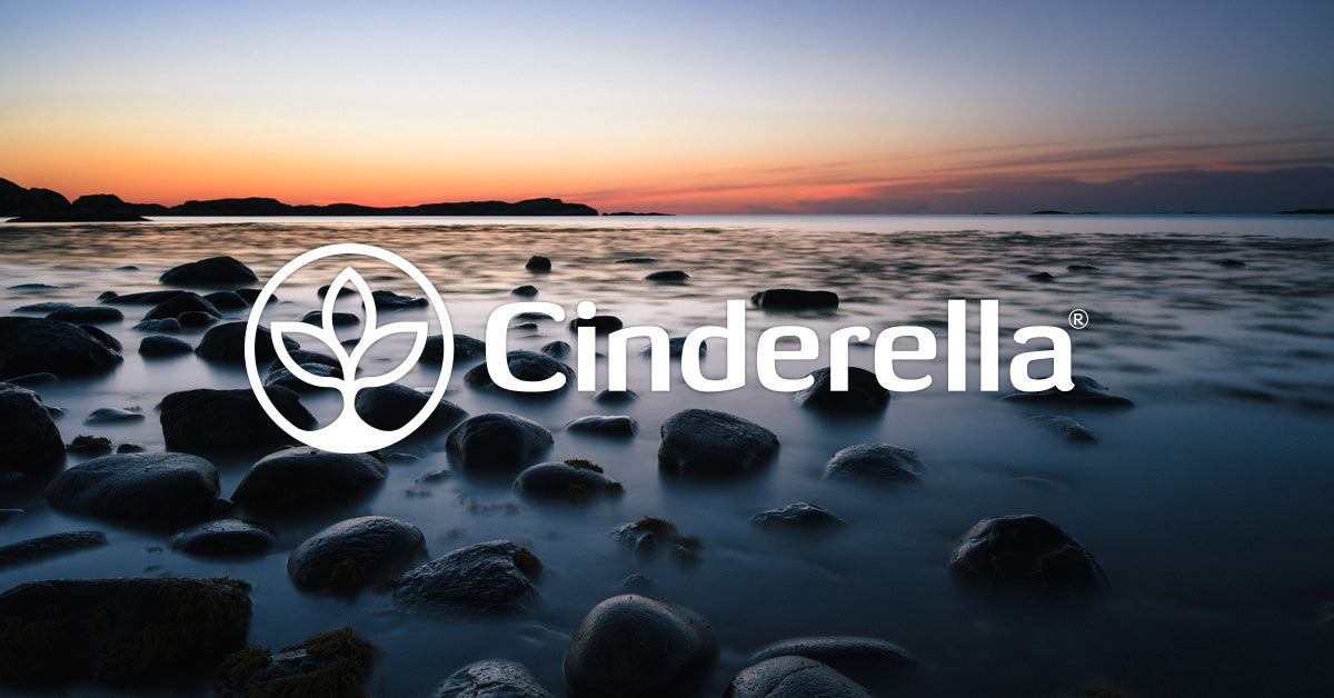 Cinderella Incineration toilets