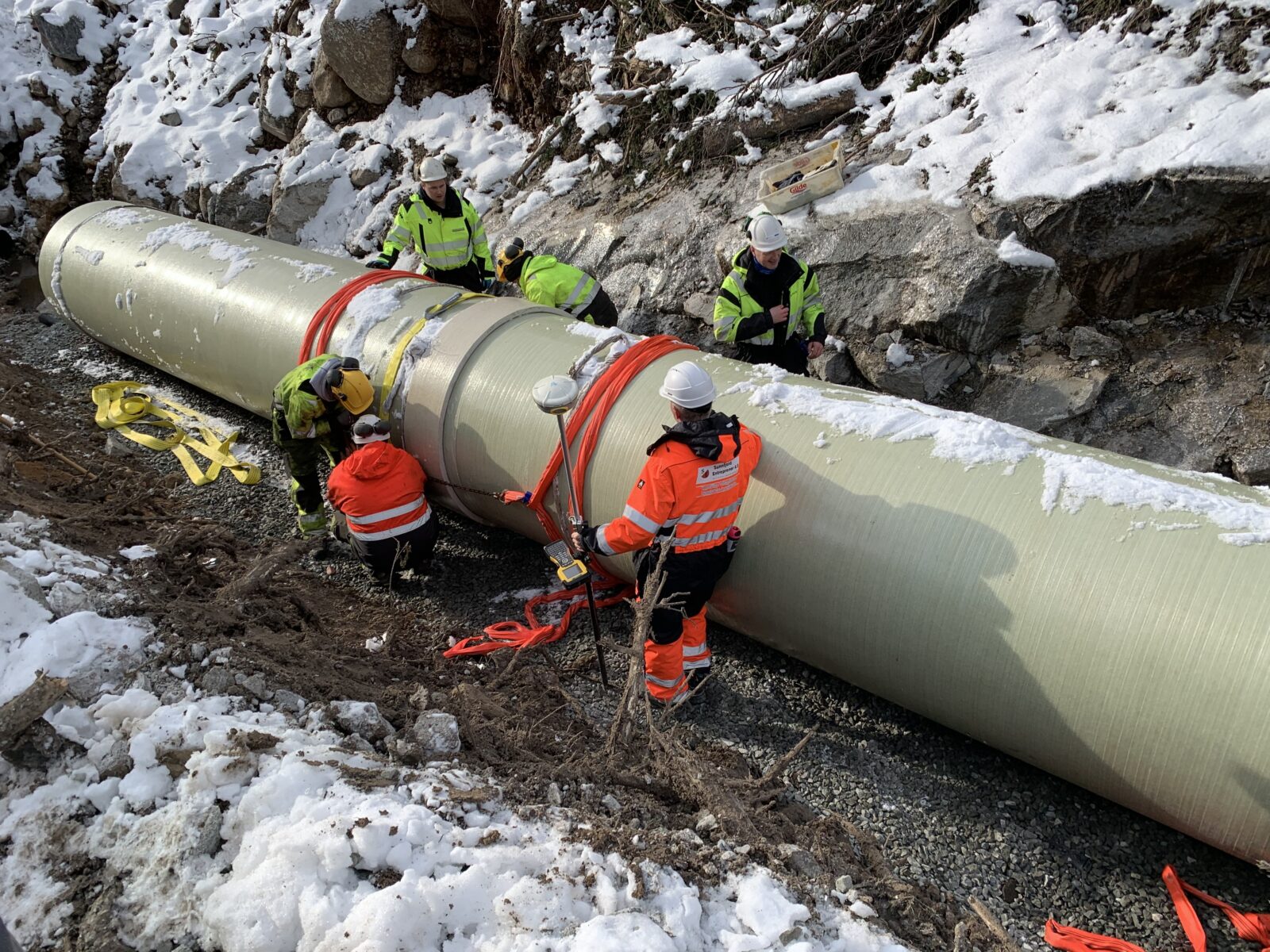 Alternate title - Cloudberry