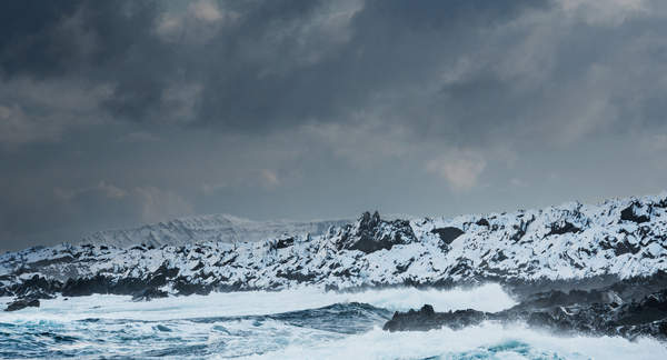 The exquisite taste of the Arctic