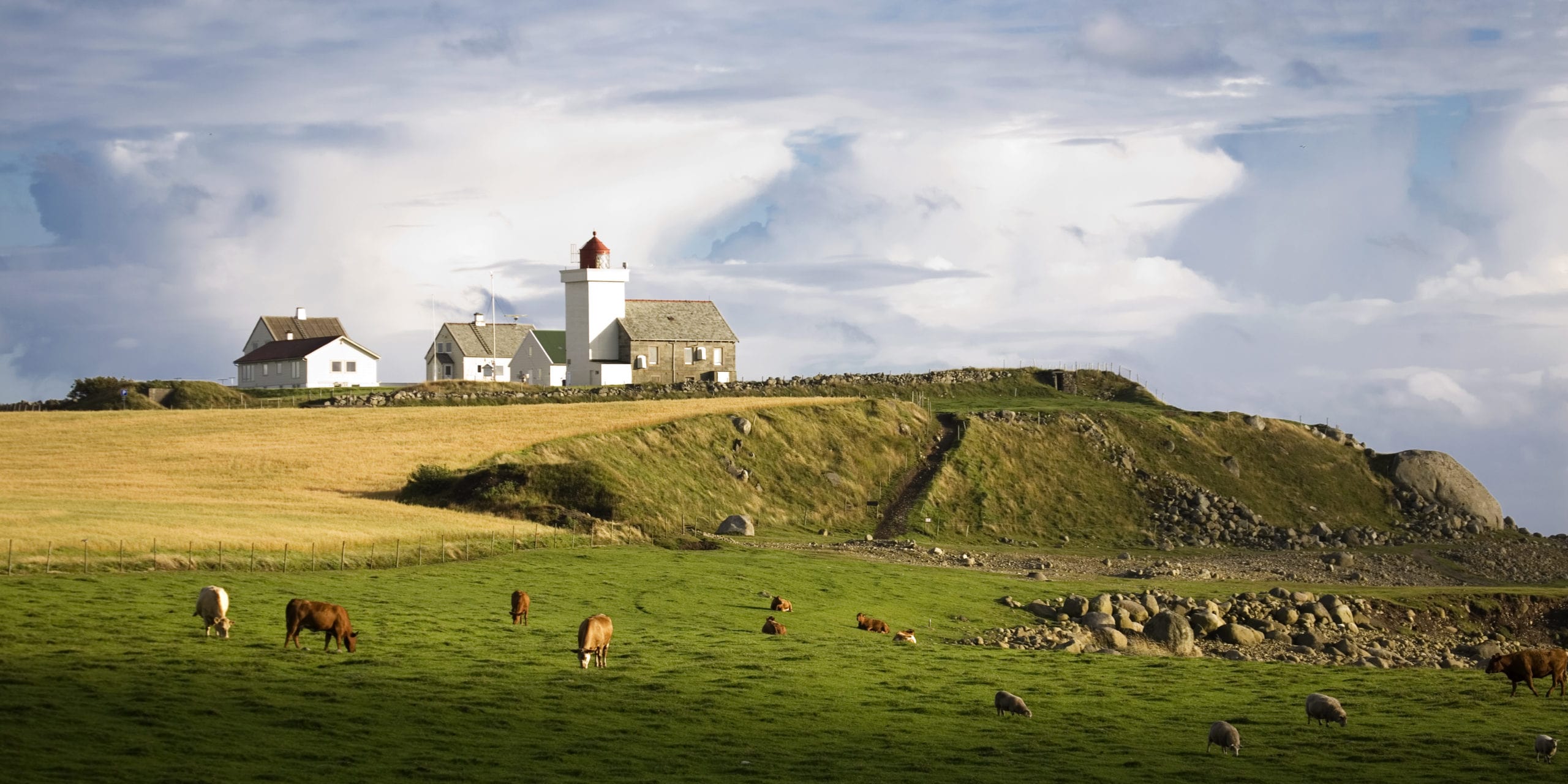 Den Stolte Hane | Et godt valg