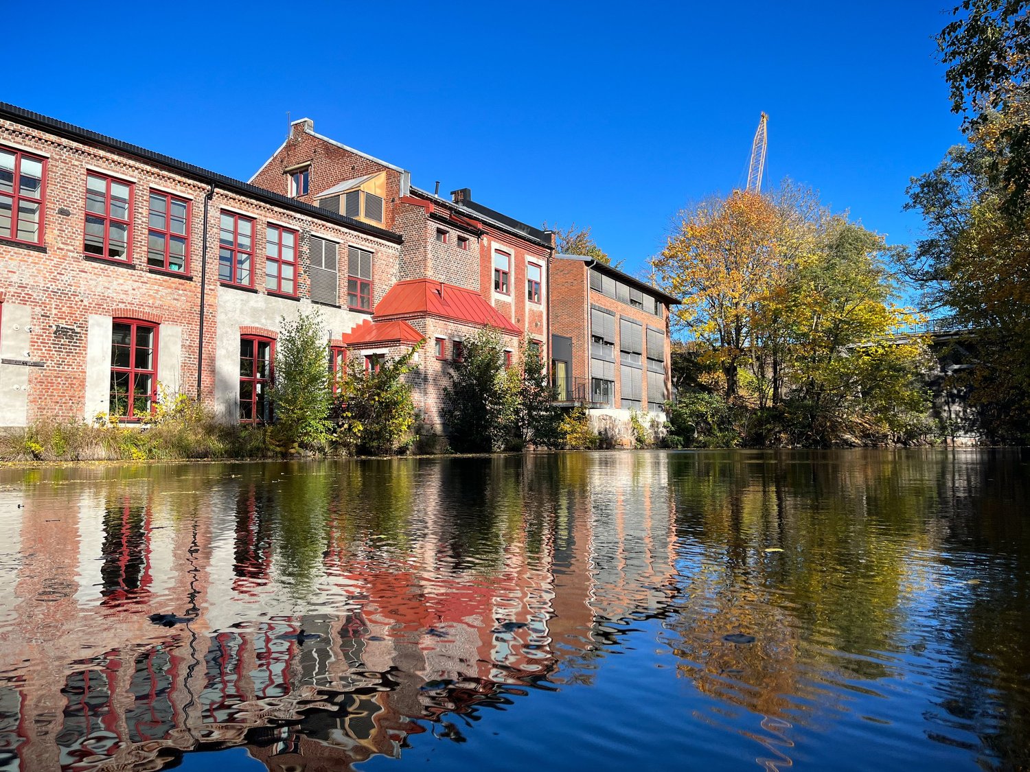 Deutsch-Norwegische Schule Oslo