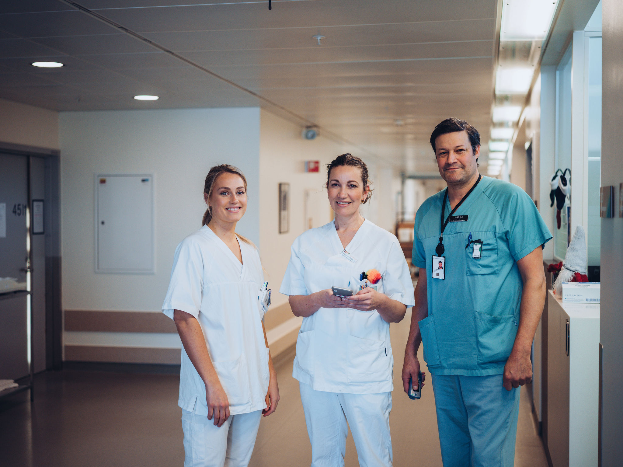 DIPS - Ledende leverandør av e-helse til helsetjenesten