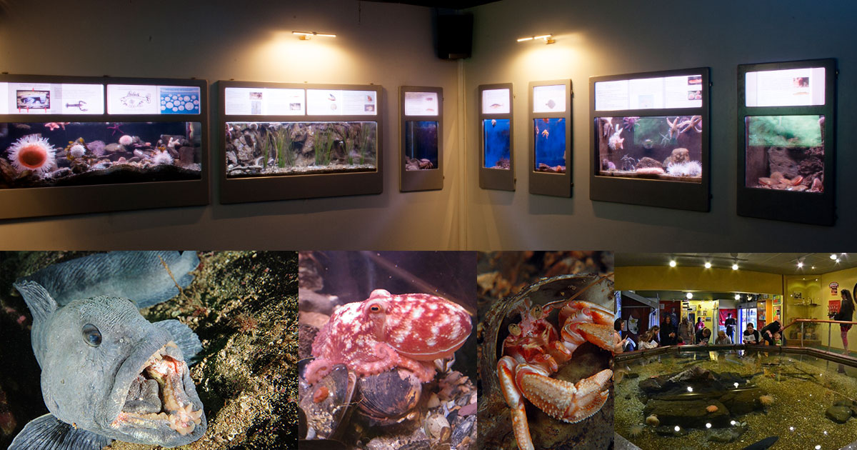 Velkommen til det idylliske og største akvariet på Østlandet