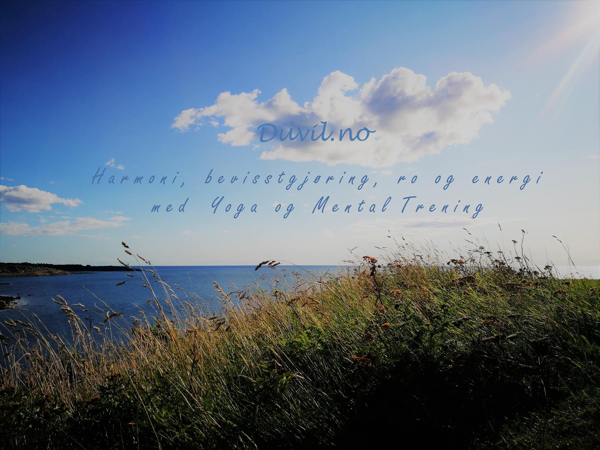 duvil.no
