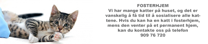 Dyrebeskyttelsen Norge Harstad