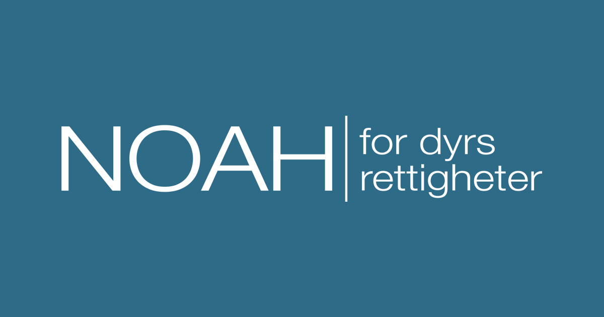 NOAH - for dyrs rettigheter | NOAH er organisasjonen som alltid fremmer dyrenes sak.