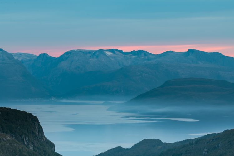 ebfoto - Photo of Wildlife and photo of nature, birds and landscape