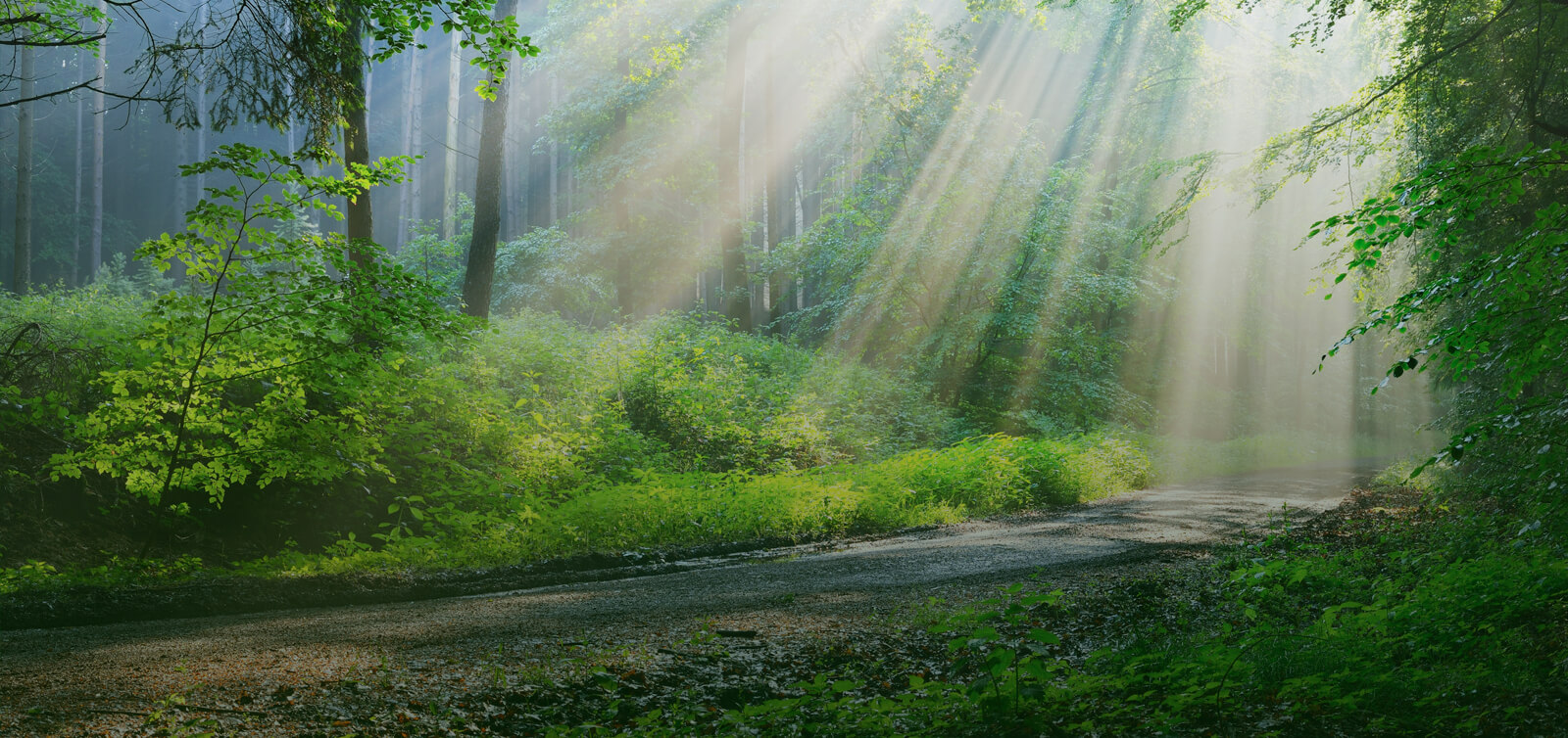 Vi tilbyr helse- og omsorgstjenester i Norge - Ecura