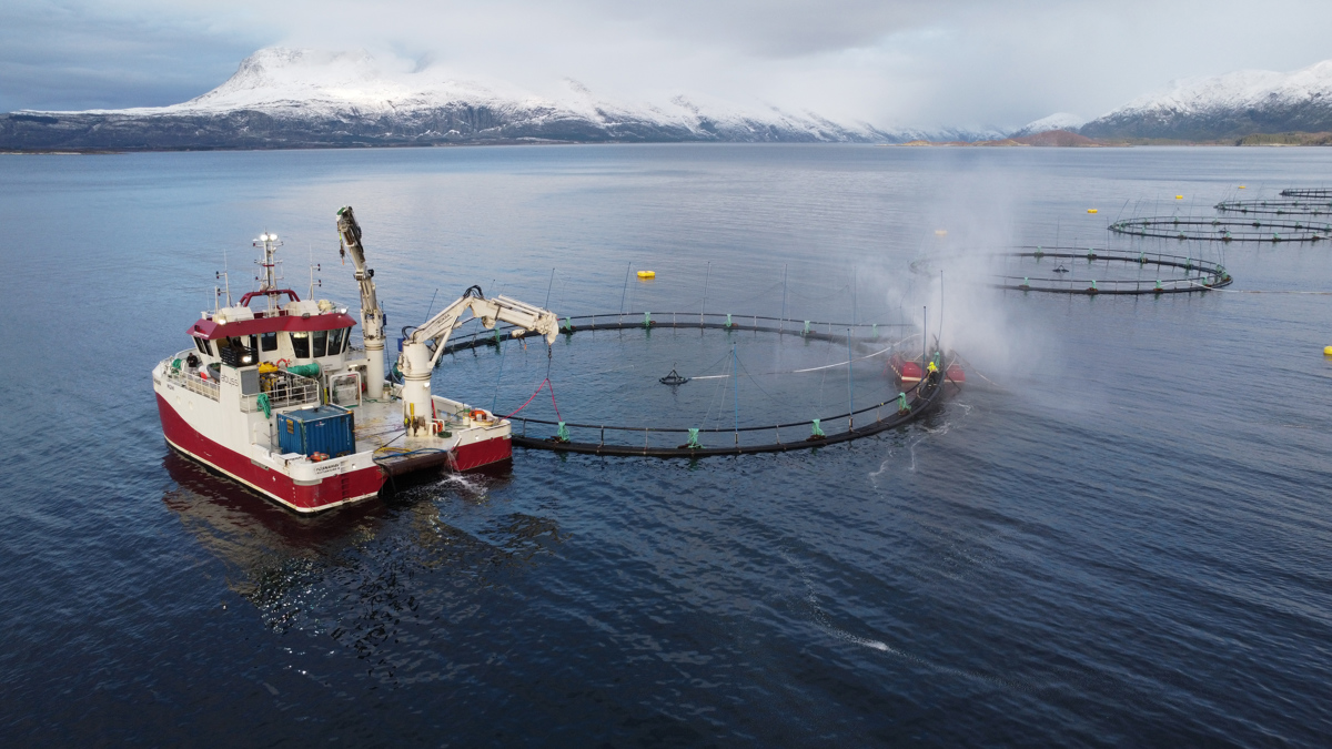 En ledende serviceleverandør | Abyss
