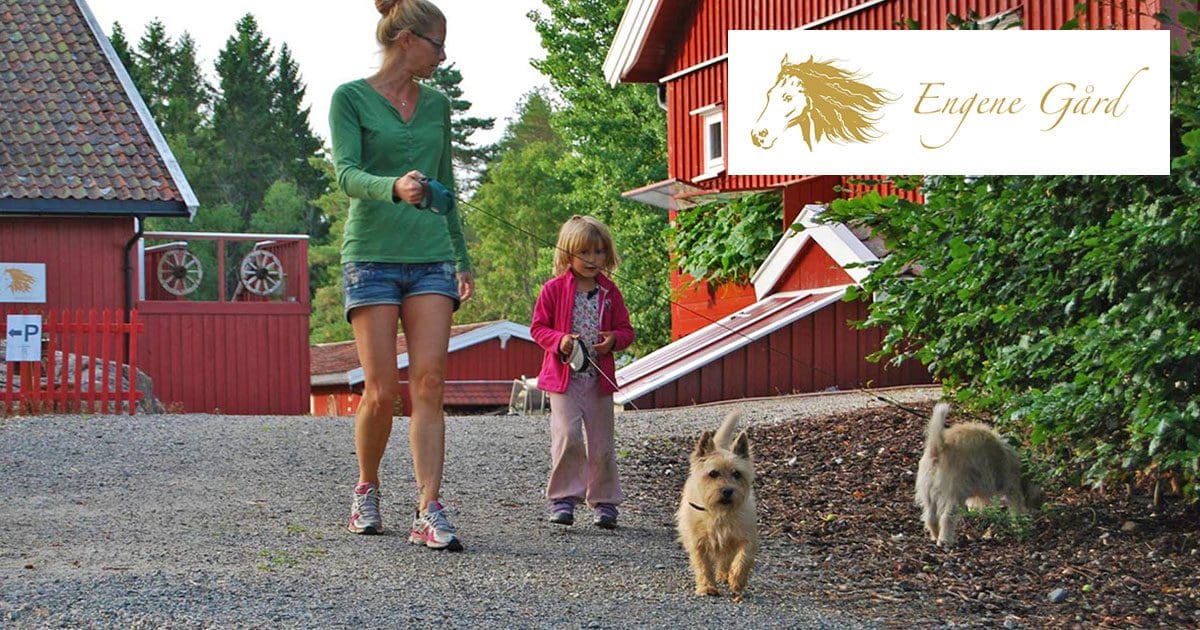 Engene Gård | Dyrepensjonat i Vestby