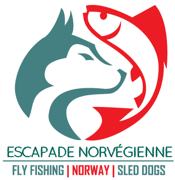 Escapade Norvégienne - Tolga, Norvège