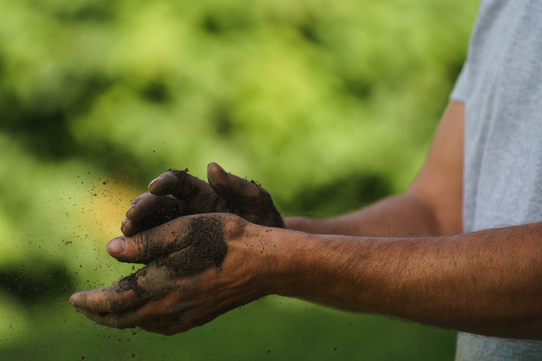 Agaia AS | Vi skaper vakre, varige og levende uterom